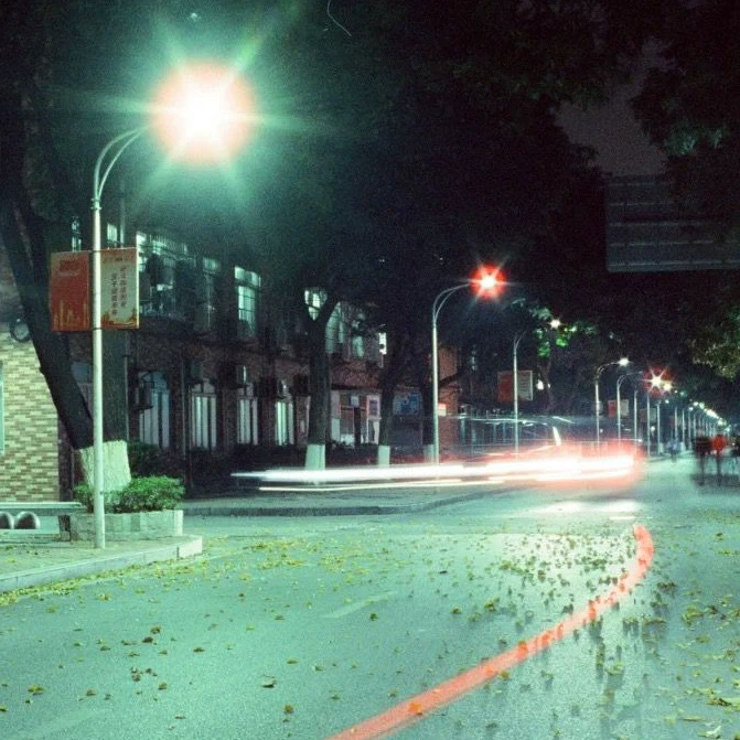 Color Negative Film (LFANI) BOOT 800T — 135/36, ISO 800, 24×36 mm