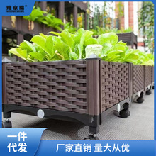 阳台蔬菜种植箱万向轮花箱带轮子可移动室内种菜神器房顶露台花华