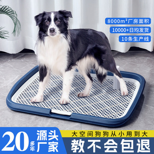 Колонны больших брызг мочи в туалете собаки могут промыть бассейн мочи с плоской собакой в ​​точке Spot Wholesale