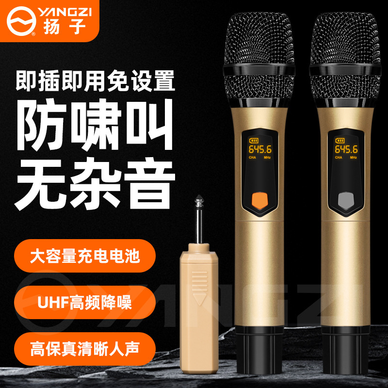 无线麦克风充电一拖二家用KTV声卡舞台直播K歌专业 手持话筒|undefined