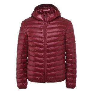 2024 light down jacket men's stand collar men's winter hooded short coat plus size factory wholesale generation