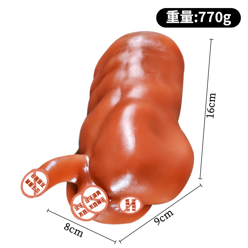 남자 친구의 근육 (국화 채널 포함)