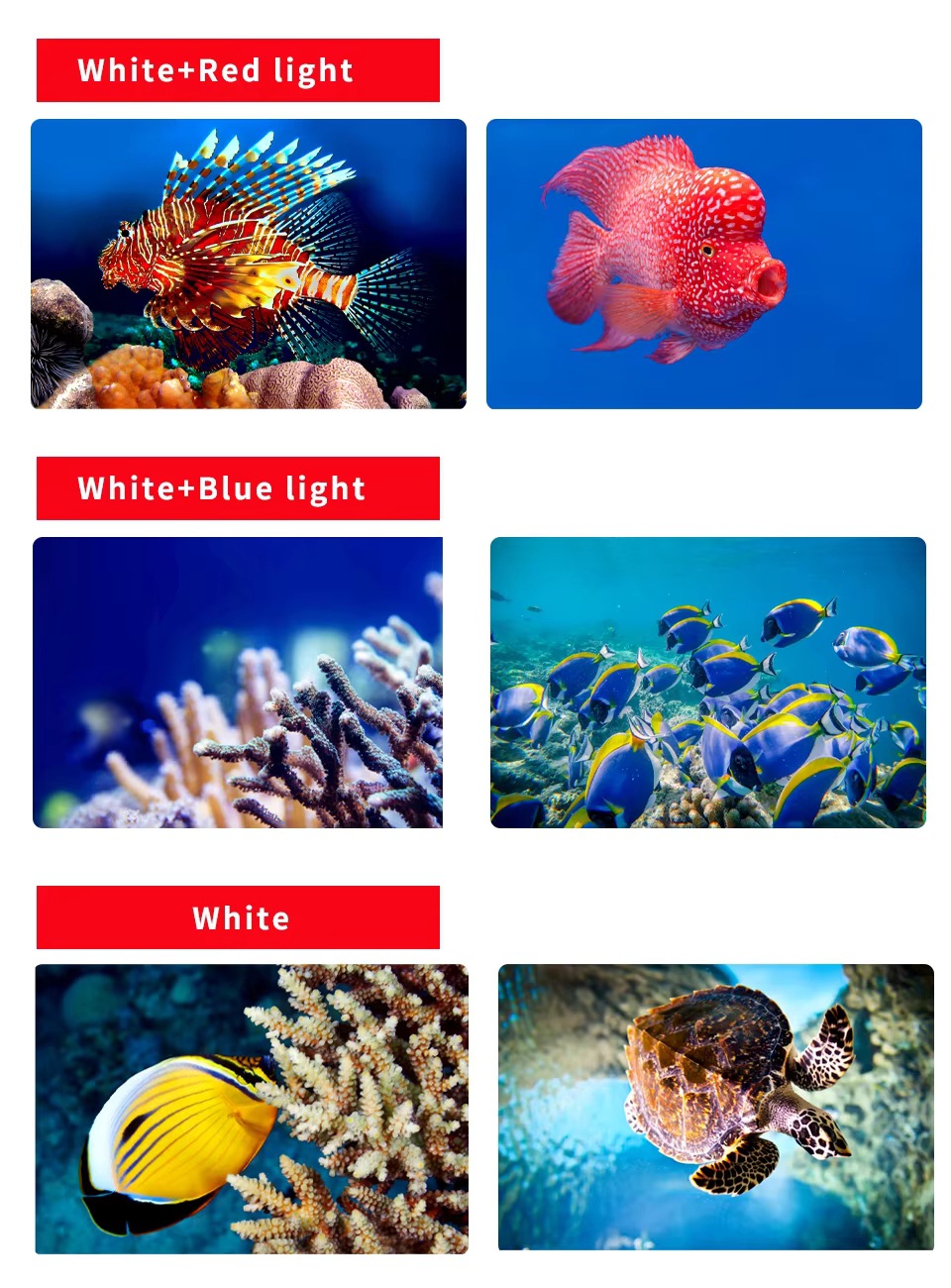 High-Power Professional Underwater 27 Led Photography Light High-Brightness Light 20000 Lumens Diving Flashlight 100m Waterproof