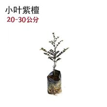 ���F���ں��ϳ�������z�ľ���纣���S�������̨��С�~��̴��