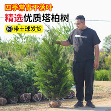 ؘ؂ȰͥԺеL@ֹ̾Gľļ