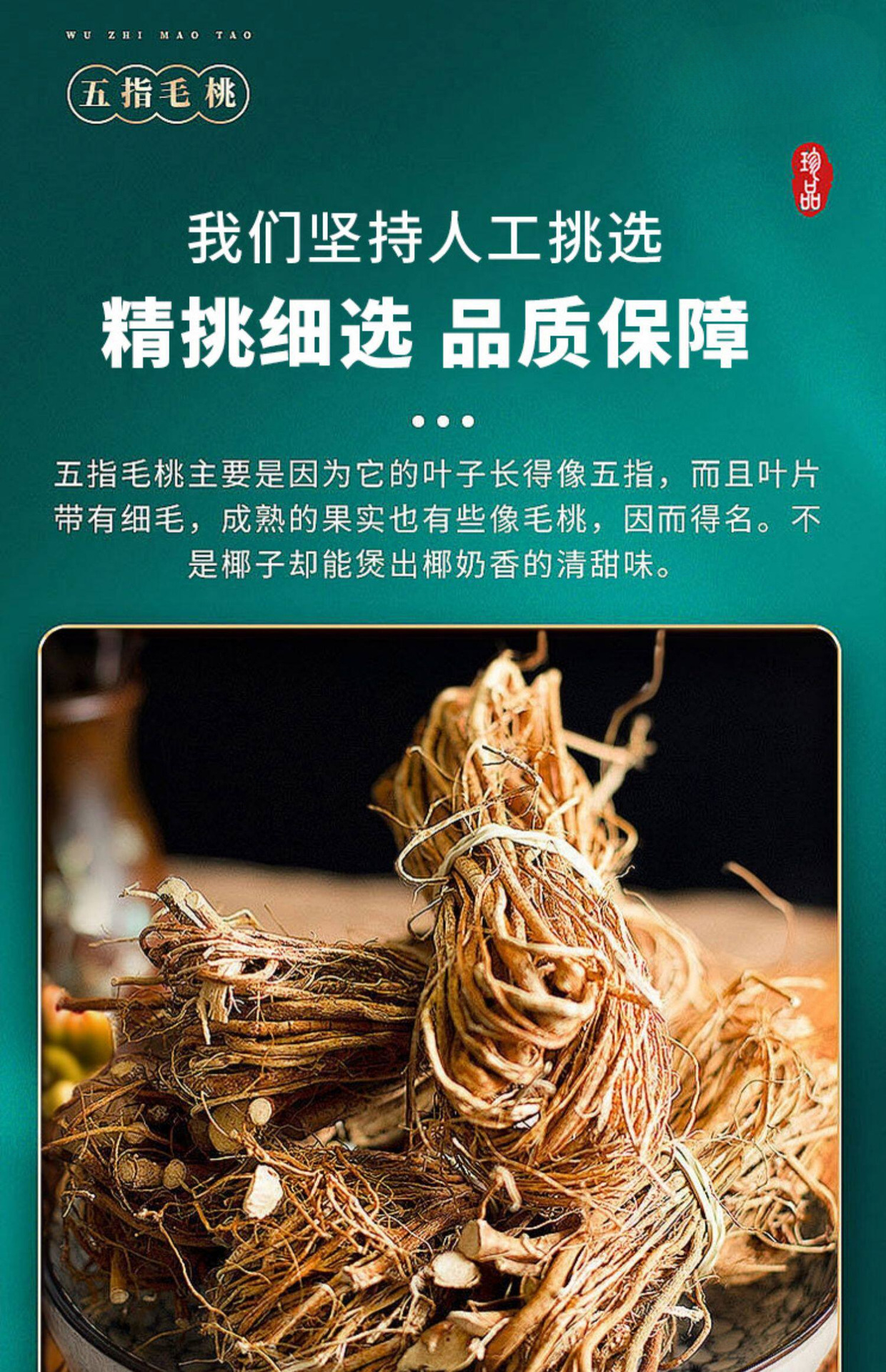 Wu Zhi Mao Tao Five-Finger Fig Root Soup Herb 500g Dried Thin Roots Bundle Guangxi Guangdong key features
