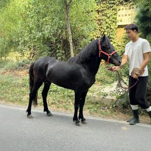 ���R�Bֳ���س��۵±����R�T��٪���R ��ͯ�T�˰��R���w�r�����