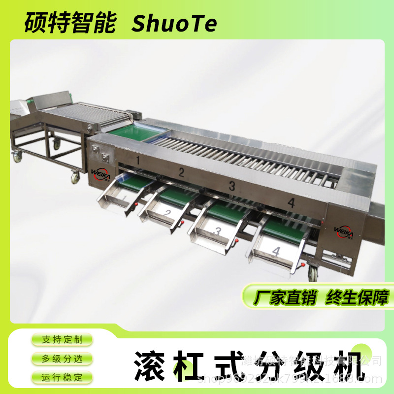 核桃灰枣滚杠式选果机 坚果碧根果直径分选机 夏威夷果大小分拣机