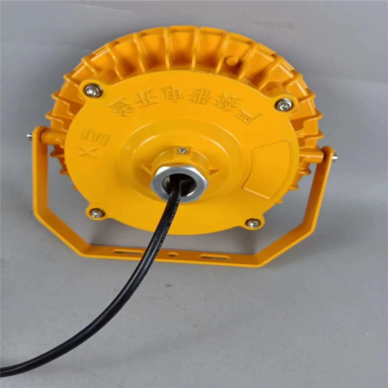 Взрывозащищенный прожектор для крупномасштабных строительных площадок DGS70/24L.