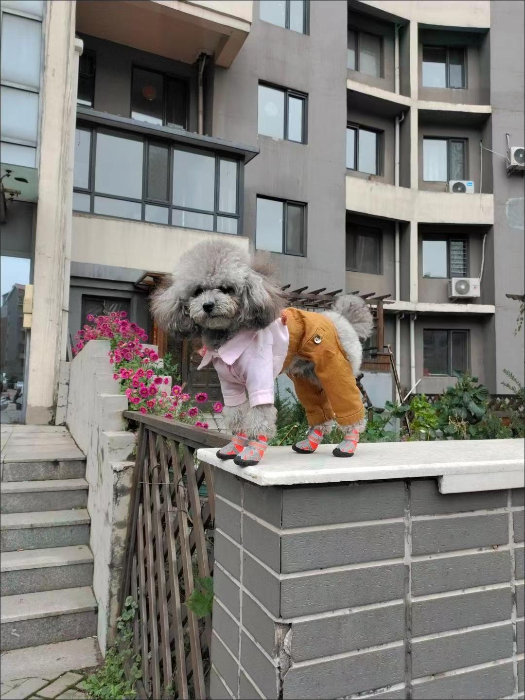 微信图片_20220504204157