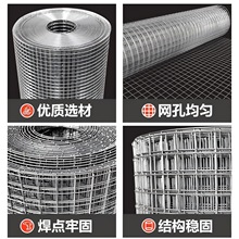 �S��ֱ�N늺��W���l�⠝���ز��P䓽z�W�F�z�W����Ĩ��䓽z�W늺�