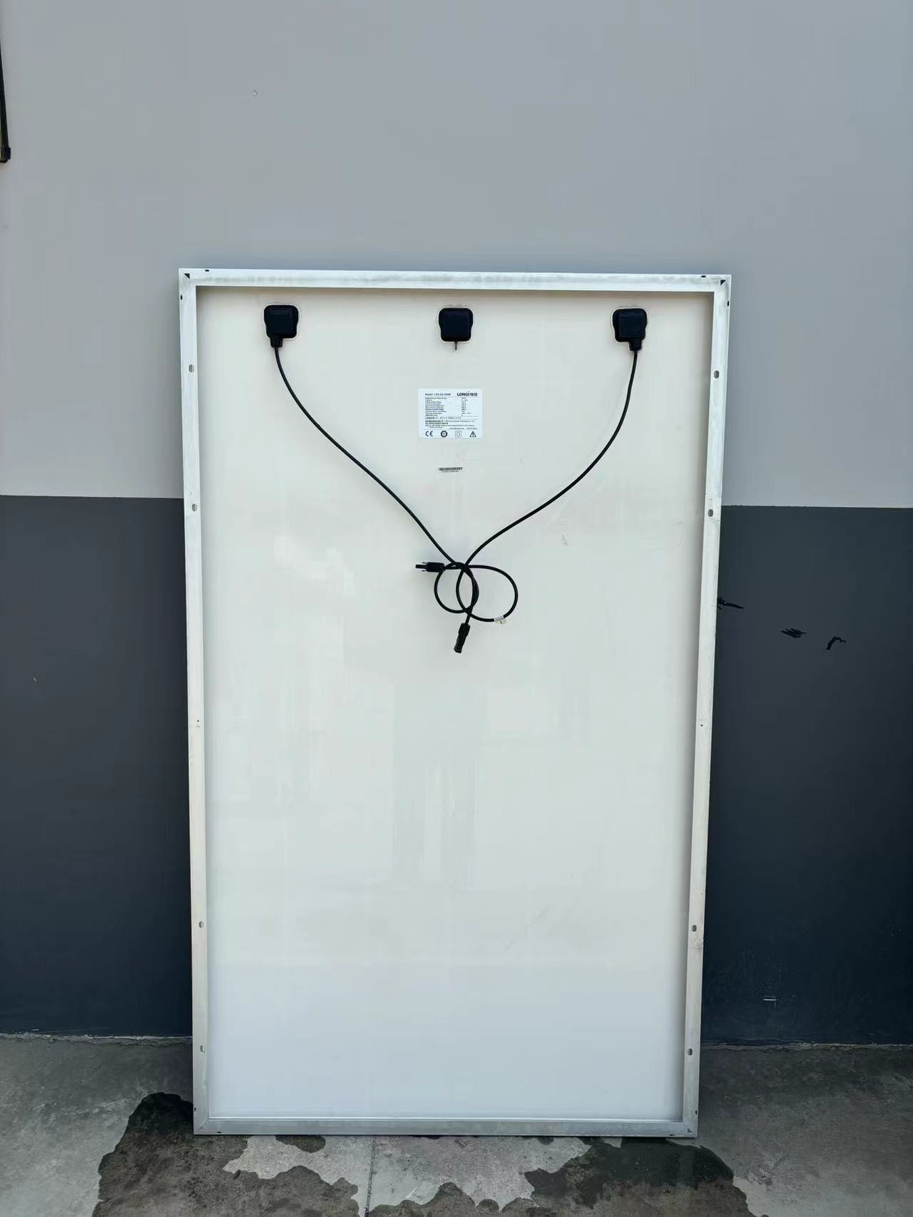 微信图片_20240311142837