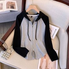 300斤大码女装秋季卫衣连帽长袖上衣胖遮肚子运动开衫外套潮