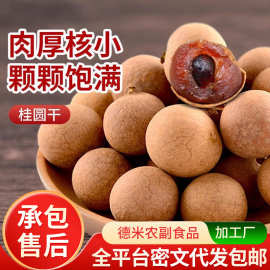 桂圆干25年新货龙眼干莆田特产果干批发非无核果干煲汤煮粥干桂圆