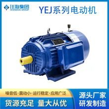 YEJ系列0.55KW～90KW电磁制动三相异步电动机厂家直销价格优惠