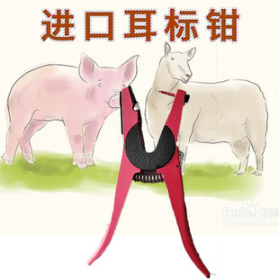 �iţ���ö����Q�����i�����Q�F�ö����Q��̖�Q�������R���ߙCе