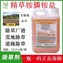 泽丰 牛金焕 10%精草铵膦 荒地 非耕地杂草 农药正品除草剂5公斤