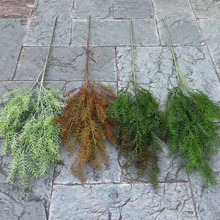 ������� �Ҿ��b�Ʒ���� ���⠝���b�Ʒ �}�Q�b�֦���