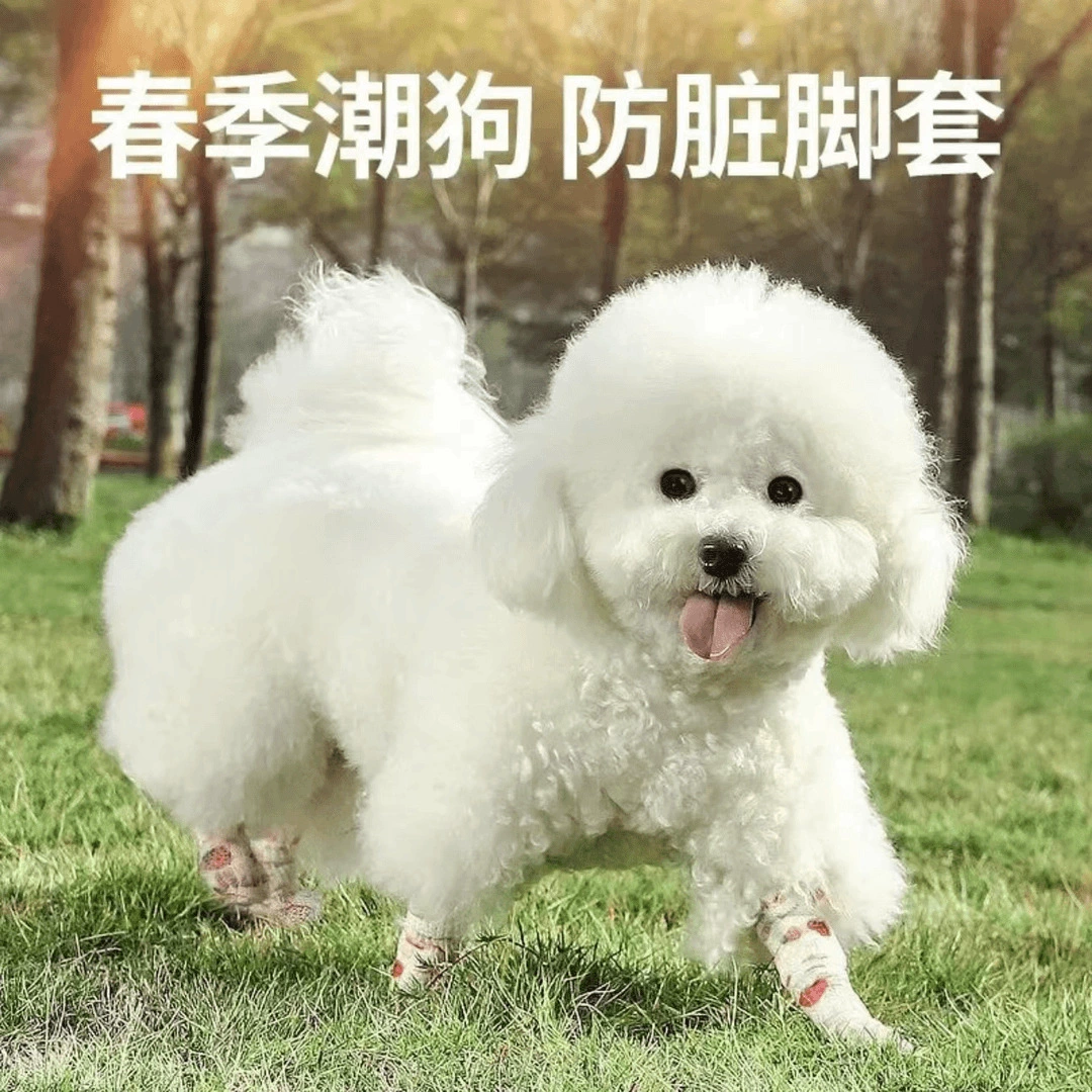 Собачьи ботинки для собак завязывают ноги, чтобы предотвратить грязь