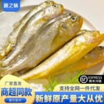 С�ƻ������ʺ����䶳�ൺС����Ǵ������㺣��ˮ����������