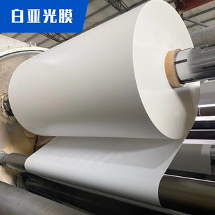 Factory Direct Sales Pet Film Polyester Translucent Matte Film Specifications Can Be Cut into New Material Pet Film