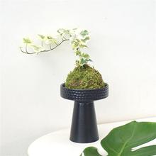 ѩ��̦�\��ϡ�оW�tins�L�ɐ����پGֲ