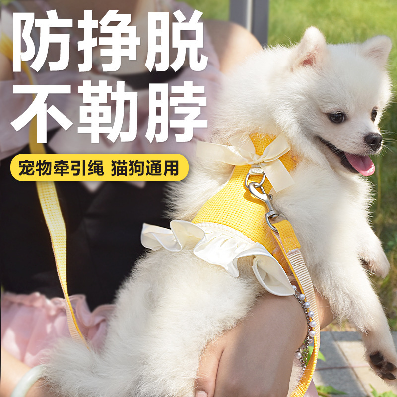 Wholesale dog leash small dog teddy bear bome puppy chest strap pet dog chain walking leash