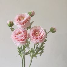 �ָб�ʪ��ëݹ ��ĵ���������Ҳ�����װ��Ʒ�Ƶ껨�ռٻ����滨