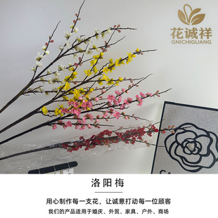 �����D÷�����÷÷���廨�����b廨���^÷�������͏S�����l