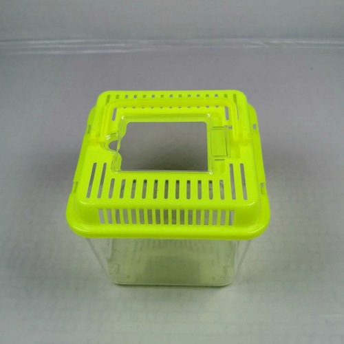 Box wholesale portable transparent plastic transport turtle hamster take-out breeding multiple models random colors
