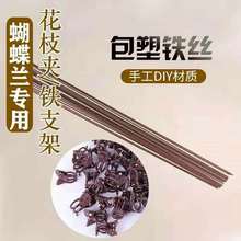 �����m���m��ֲ֧���F�����ϊA�ӷ���ľ���I�B���бP