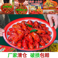 ���Ä���С���r�P��������řn�b�������P����´ɱP�;ߌ���