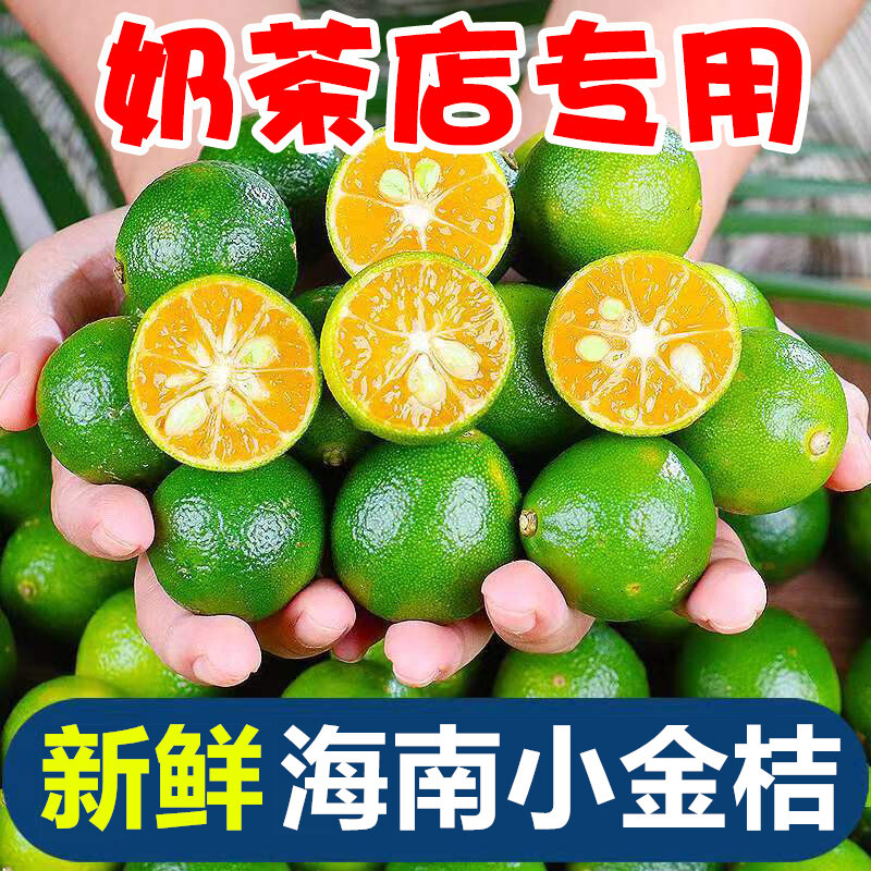 海南小青桔小金桔子新鲜水果小青柑应当季时令小青柠奶檬茶店专用