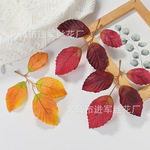 仿真植物榕树叶四叉红黄色树叶 万圣节工艺品装饰布叶秋色叶子