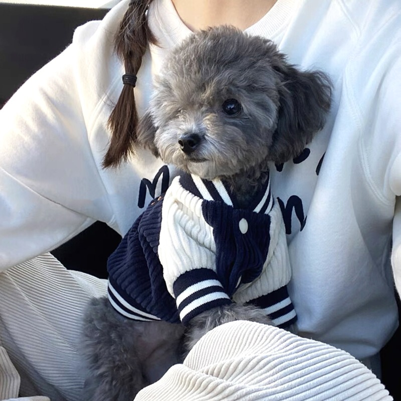 Korean Style Dog Baseball Uniform Pet Jacket Teddy Clothes Bichon Pomeranian Small Size Dogs Cat Autumn and Winter Warm Clothes Korean Style Dog Baseball Uniform Pet Jacket Teddy Clothes Bichon Pomeranian Small Size Dogs Cat Autumn and Winter Warm Clothes