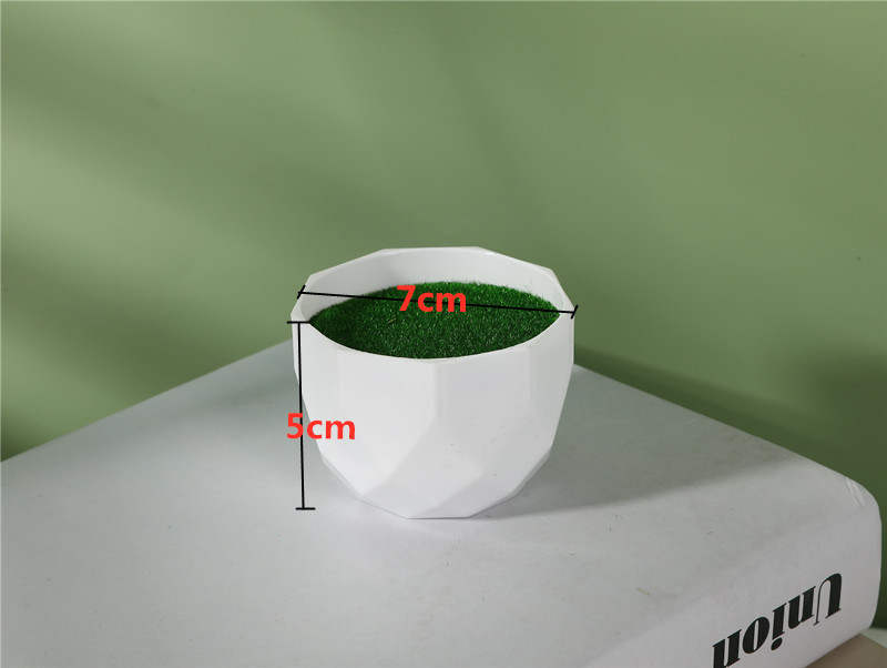 746A3375_好压看图_副本