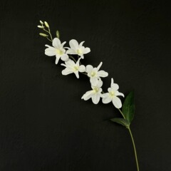 蒼蘭の家の結婚祝いの装飾花の高級なシミュレーションの花の単独の飾り物の生け花の装飾の絹の花の造花の卸売りをシミュレーションします。