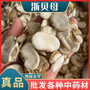 ��ؐĸș�� ��ؐ ��ؐĸ ��ؐĸ ��ؐƬ �� ��ș����ؐĸ����ă�