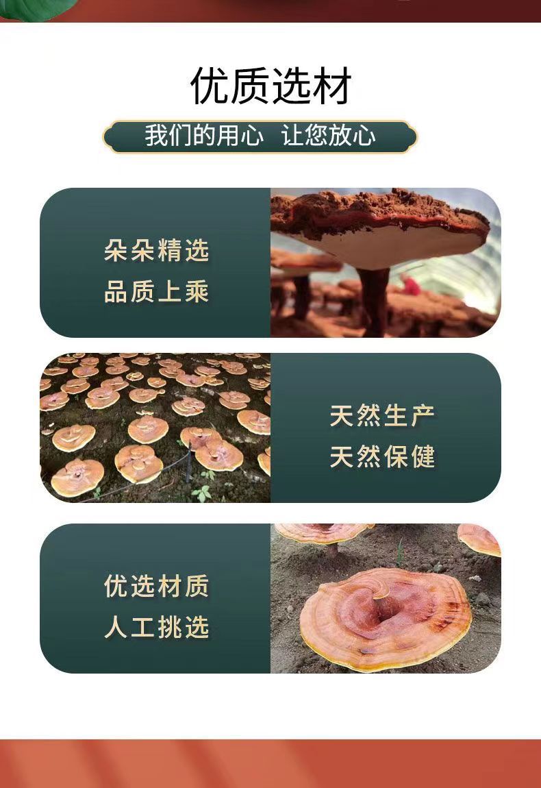 Organic Reishi Mushroom Spore Powder Ling Zhi Bao Zi Fen 250g Bottle quality and texture