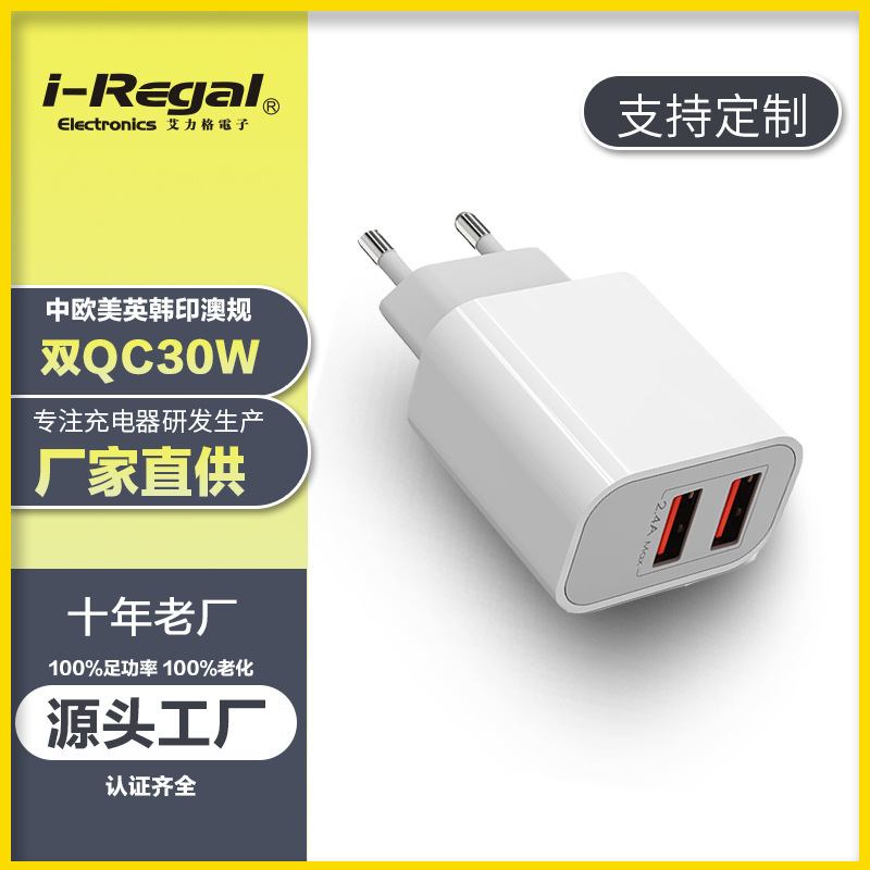 Foreign Trade Customized Ce Certified 12W Charger Dual Usb2.4A Direct Charging Smart Recognition Function Travel Fast Charging Head