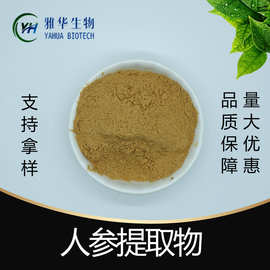 人参提取物  雅华生物 人参果粉 长寿果提取物 72480-62-7现货