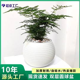 花盆容器;花盆装饰;园艺灌溉工具