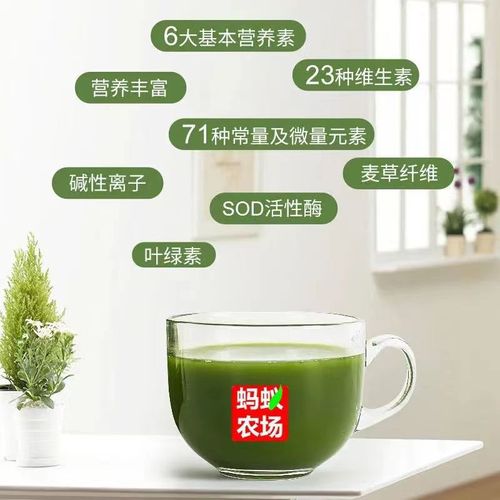 Ant Farm Barley Green Juice originates from natural barley green juice, natural raw materials, sugar-free wholesale delivery