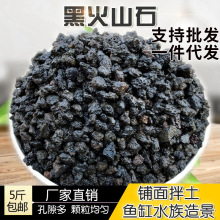 黑火山石火山岩绿植花卉绿植铺面垫底碎石拌土鱼缸水箱造景石批发