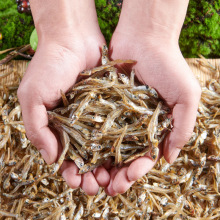 徐州邳州特产小鱼干淡水干鱼鱼干小鱼小河鱼干货散装辣椒炒小鱼ld