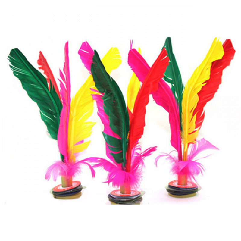 Colorido gato de gallina, adultos, niños, colorido gato de gallina, estudiantes de primaria y secundaria, gran fábrica de flores, comercio de ganso al por mayor