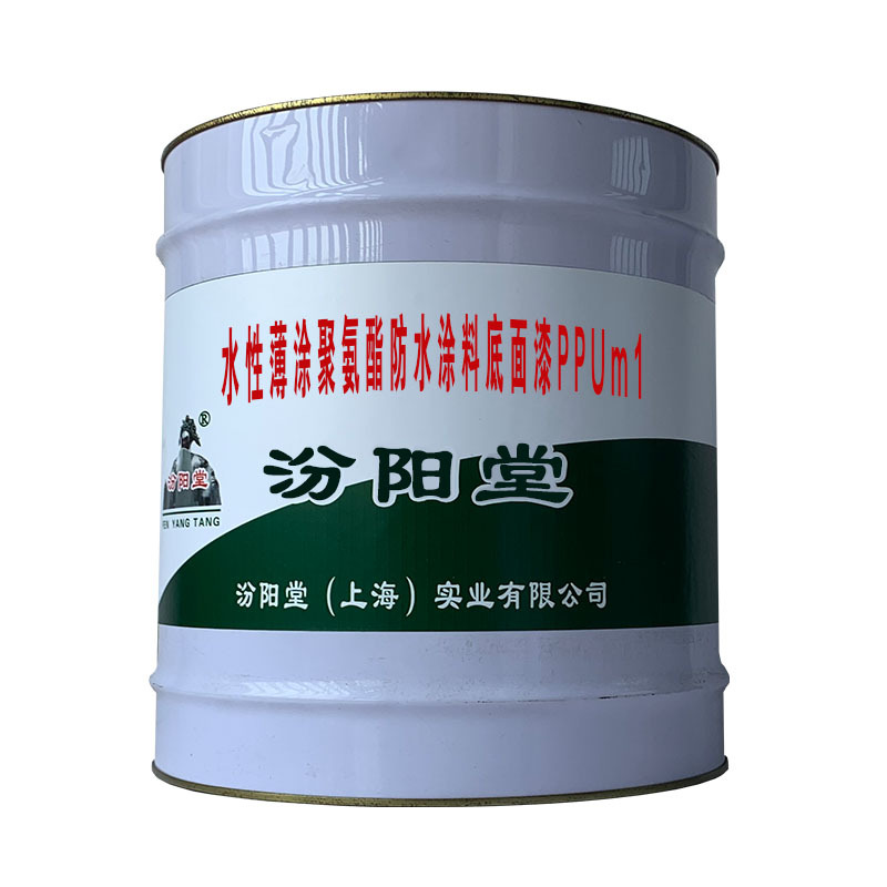 水性薄涂聚氨酯防水涂料底面漆PPUm1，施工条件：外界环境。