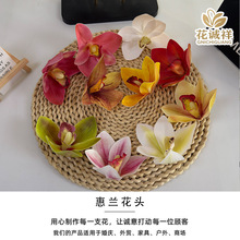 �¿�3D�����zƬޥ�m���^���N���滨���^��Y���Y���Ĕz����