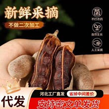 ���l ����� ����خa���r�������Ұ��������ЋD��ʳ�����_����