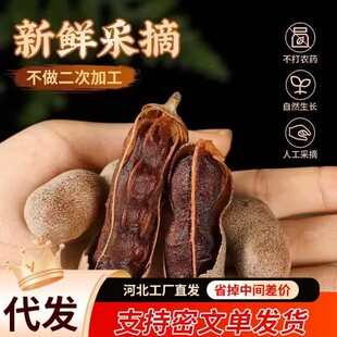 ���l ����� ����خa���r�������Ұ��������ЋD��ʳ�����_����